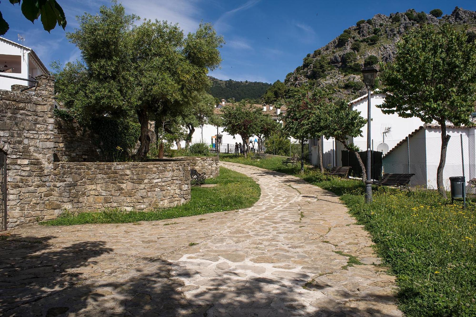 Casa Rural San José Grazalema Exterior foto
